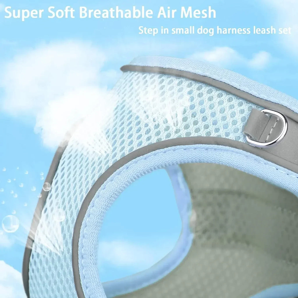 Escape-Proof Dog Harness and Leash Set for Small Dogs