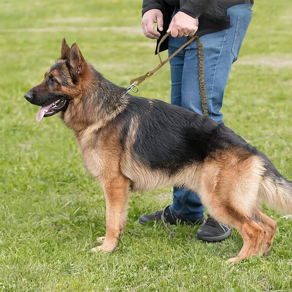 Military Adjustable Leash Quick Release Elastic Rope.