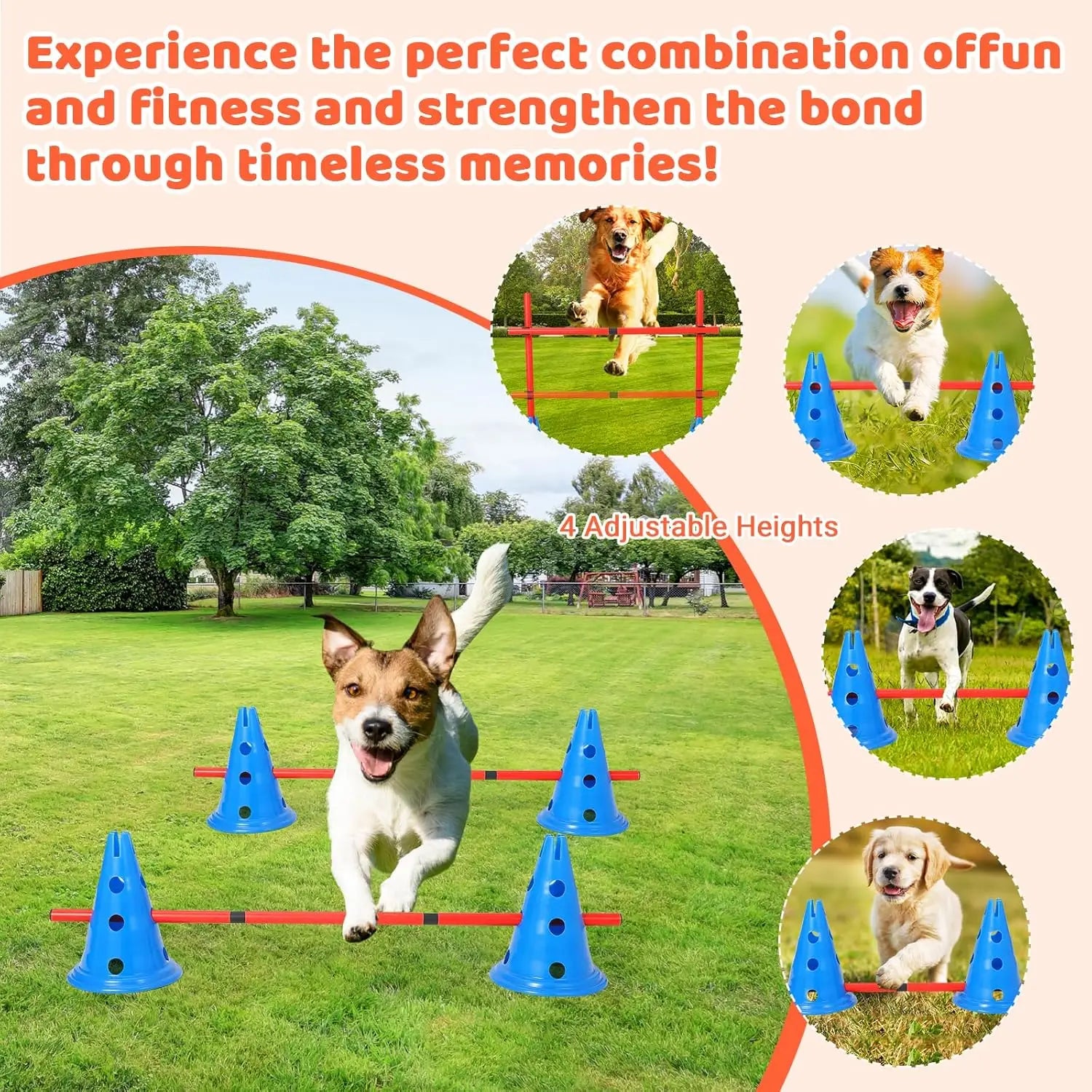 Dog Agility Hurdle Cone Set  Include 12 Agility Cones 6 Agility Rods