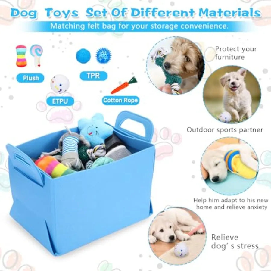 65 Pcs Puppy Supplies Starter Kit Small Dog Essentials
