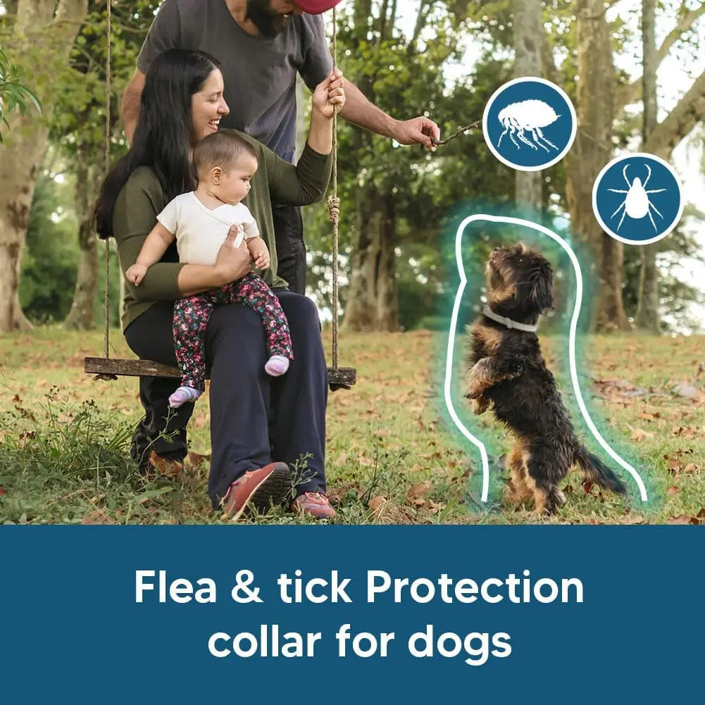 Effective Dog Flea & Tick Collar for Small Dogs, Lasts Up to 8 Months,