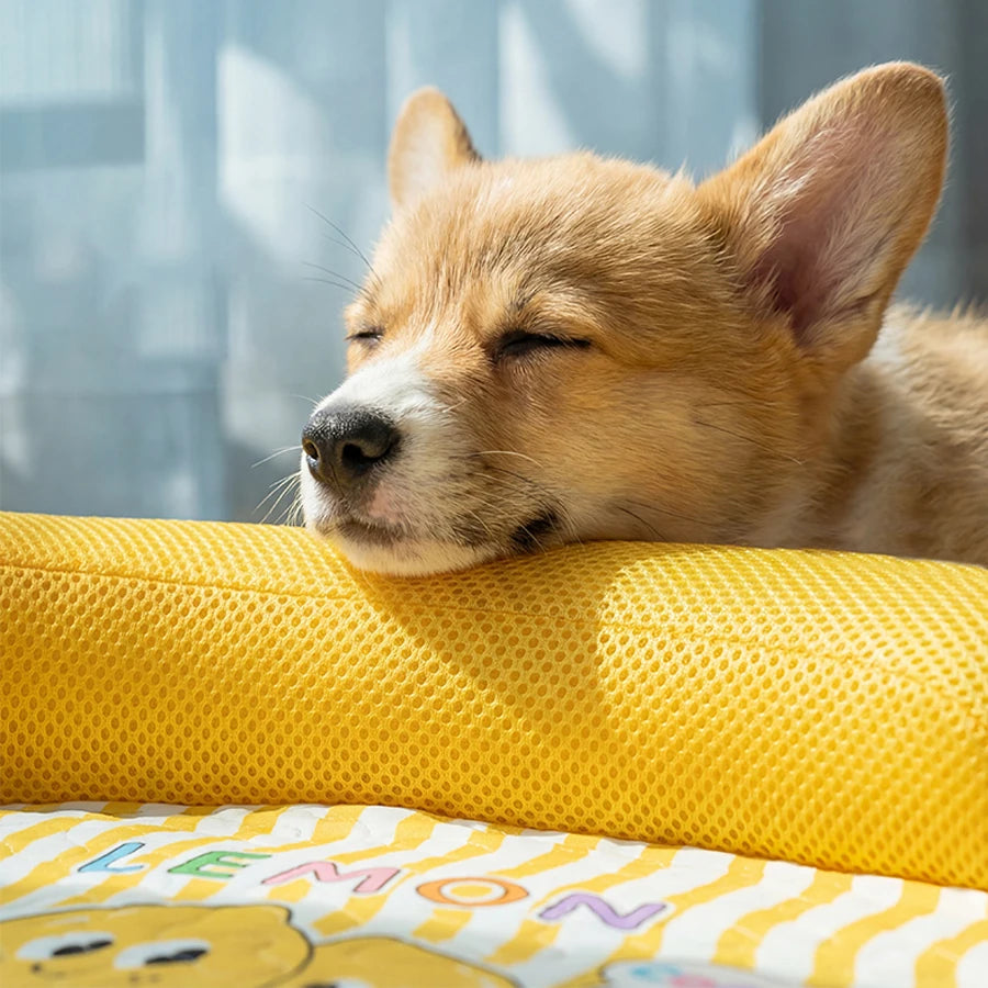 1 Piece Spring and Summer Pet Sofa Bed, Removable and Washable Dog Bed,