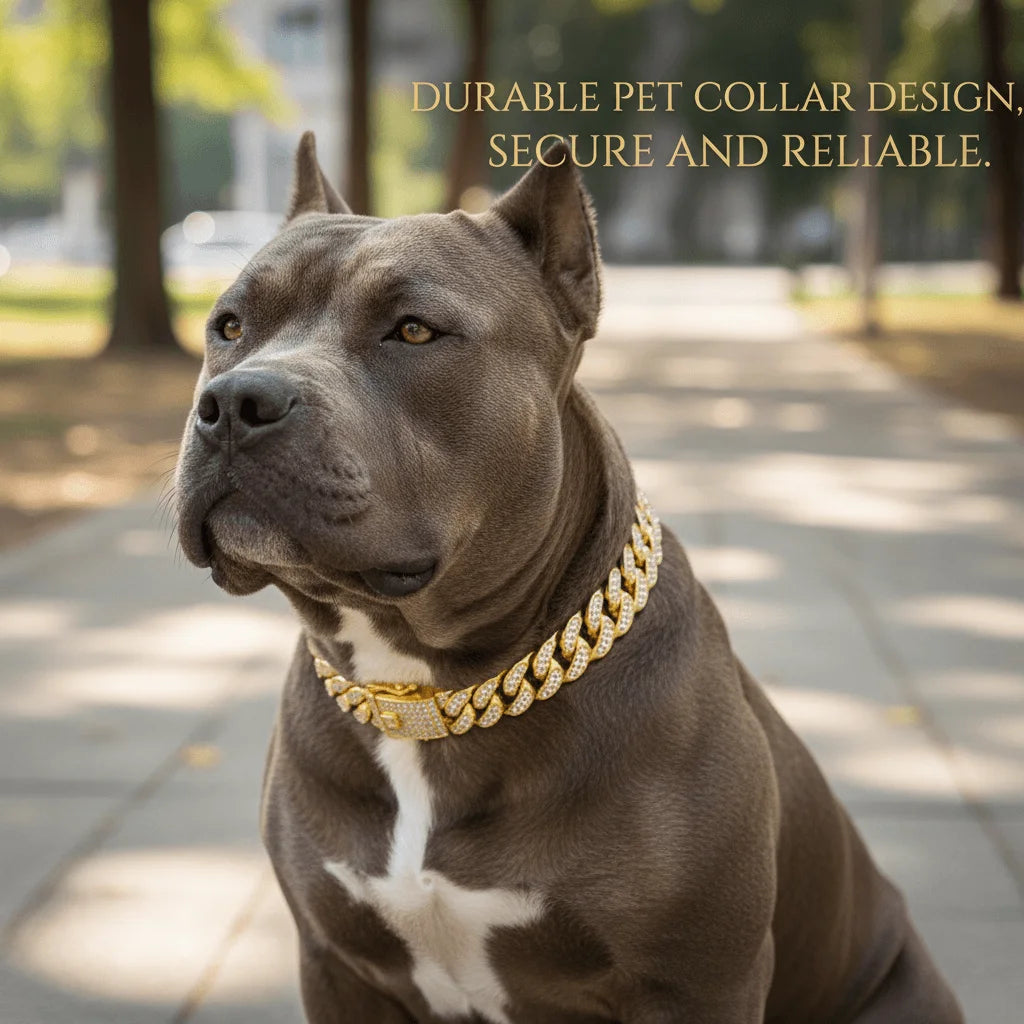 Luxury Hip Hop Dog Collar, Gold Tone Stainless Steel Chain,