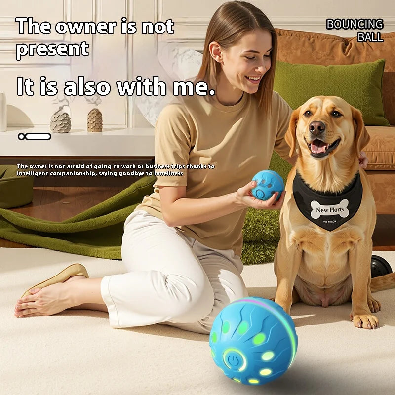 Pet Play Toy Ball, Electric Dog Ball, USB Rechargeable