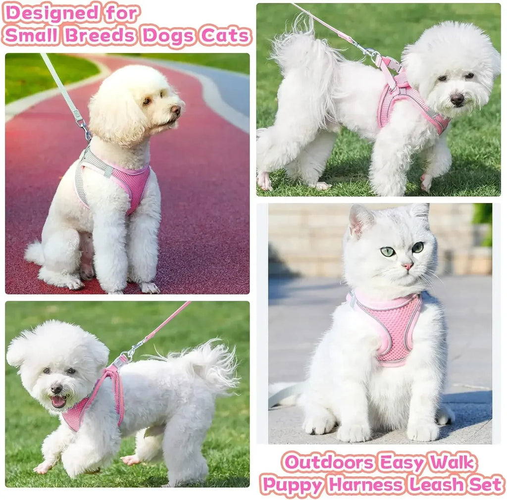 Escape-Proof Dog Harness and Leash Set for Small Dogs