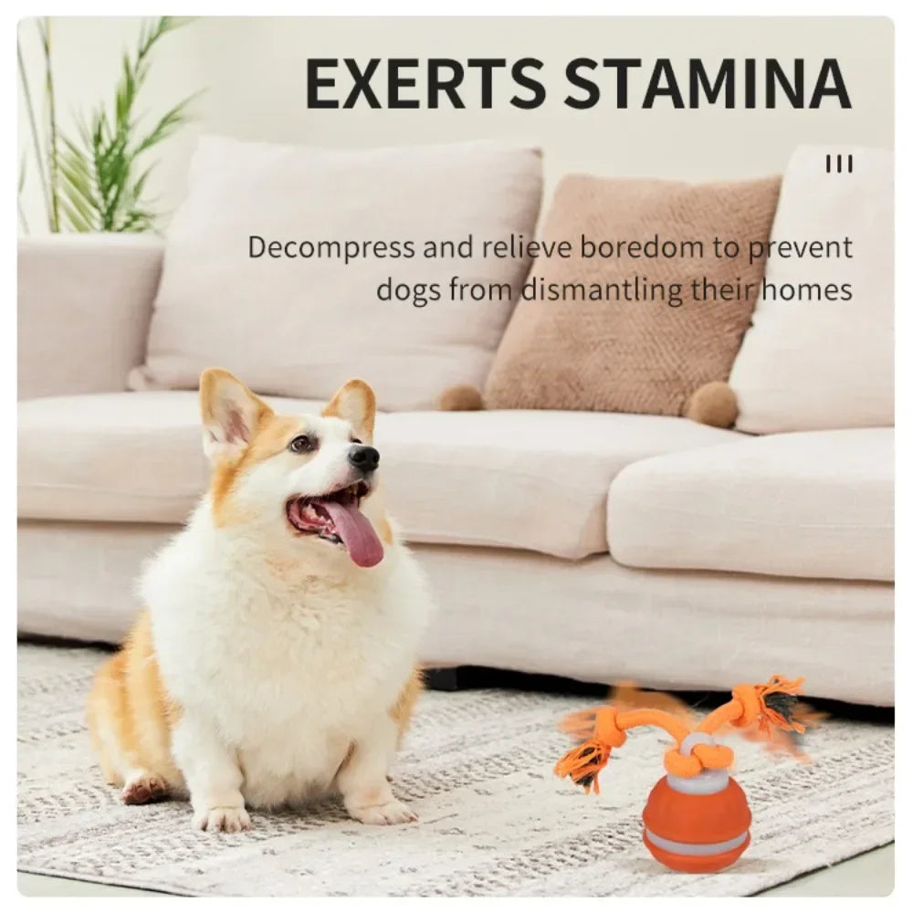Pet Ball for Dogs Interactive Motion Activate Rolling Ball.
