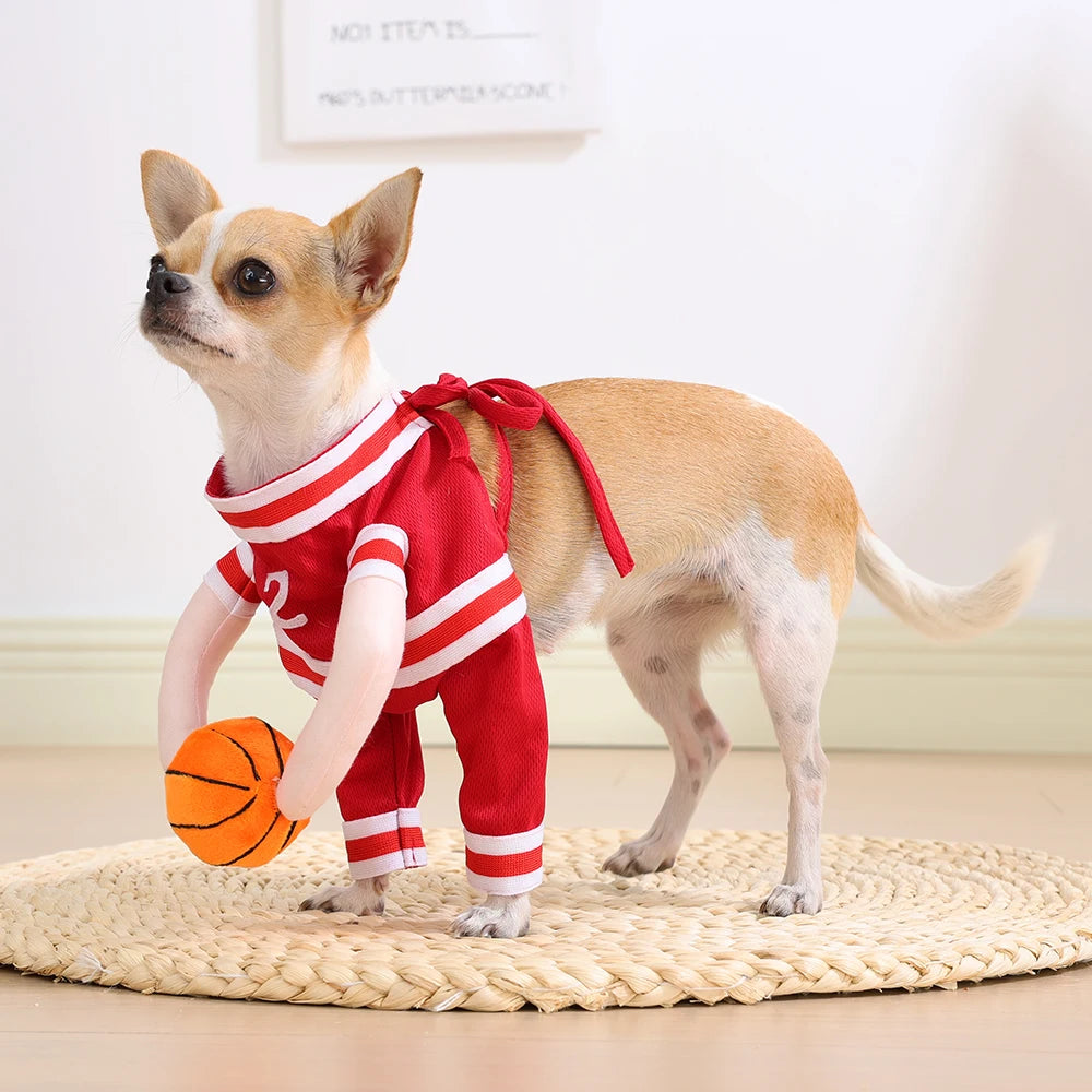 Funny Basketball Cosplay Pet Costume