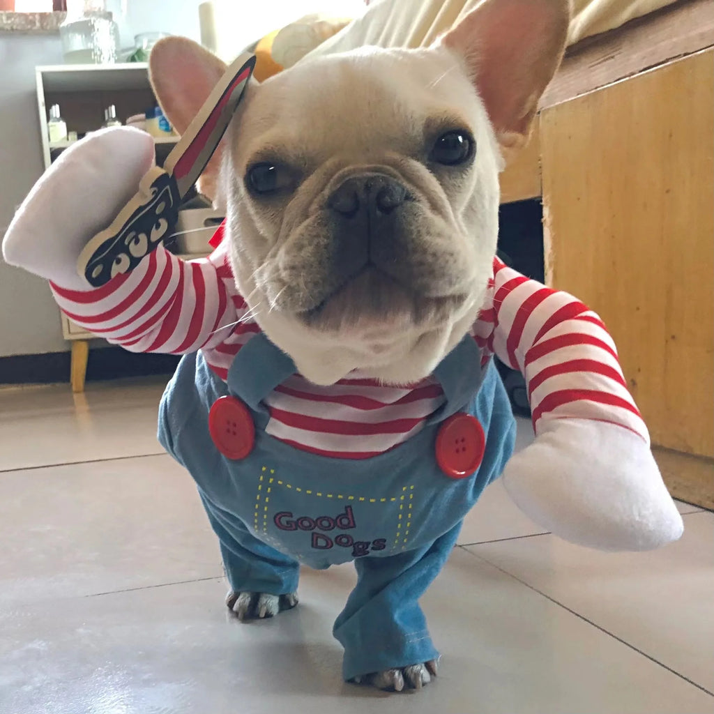 Halloween Funny Dog Clothes for Small Medium Dogs