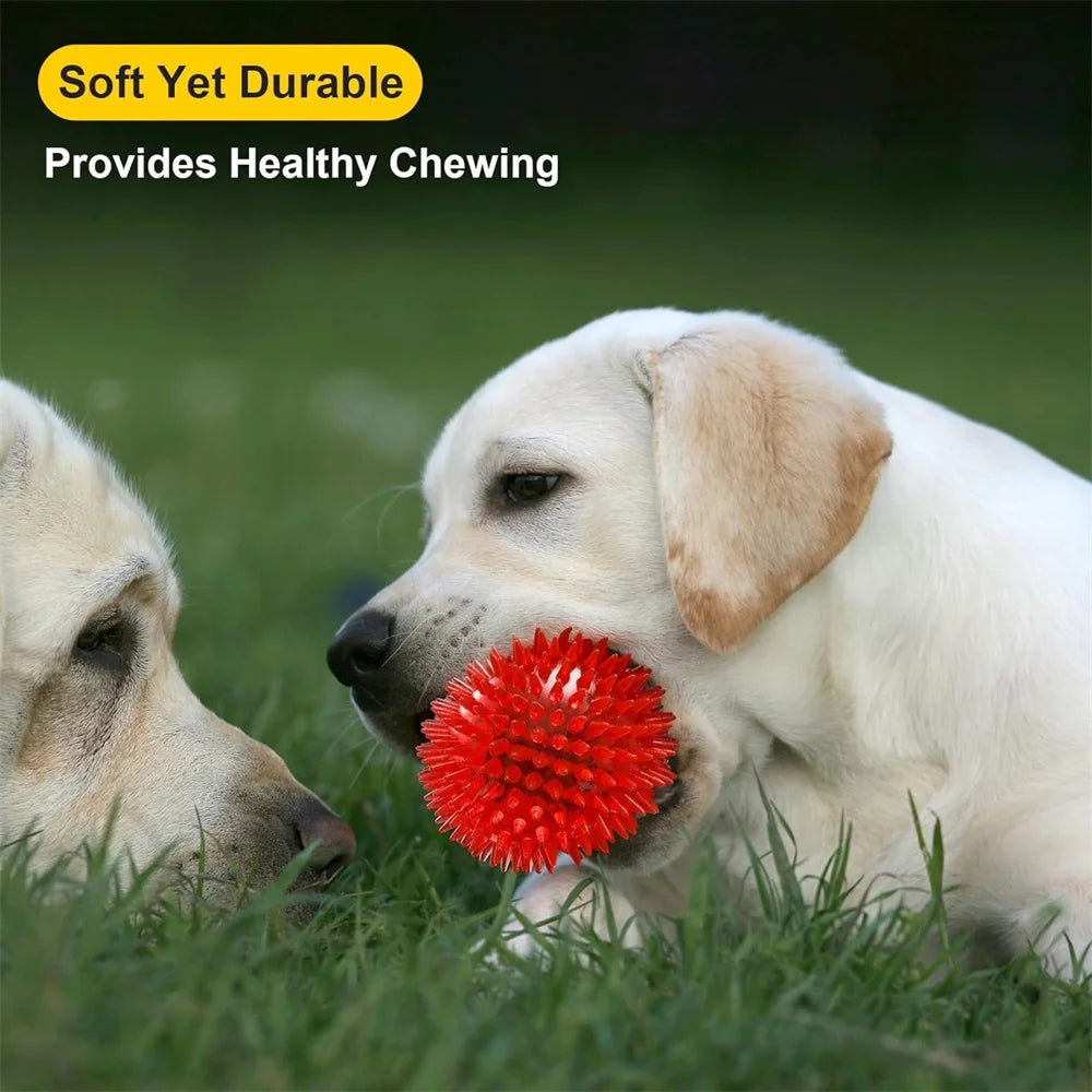 6pcs Dog Toy Balls, BPA Free Non-Toxic Plastic, Durable Spikey