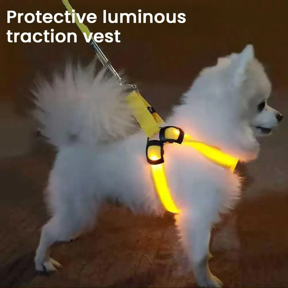 Adjustable LED Pet Harness USB Rechargeable Light Up Dog Harness