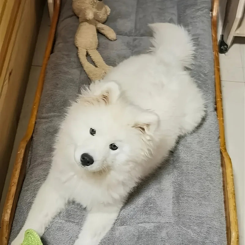 Oversized Plush Dog Bed Sofa Crate Pad Ultra Soft