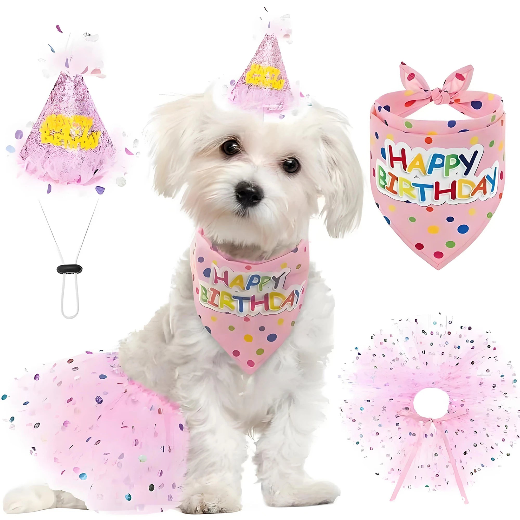 Birthday Costume Set Adorable Party Hat with Matching Skirt and Scarf