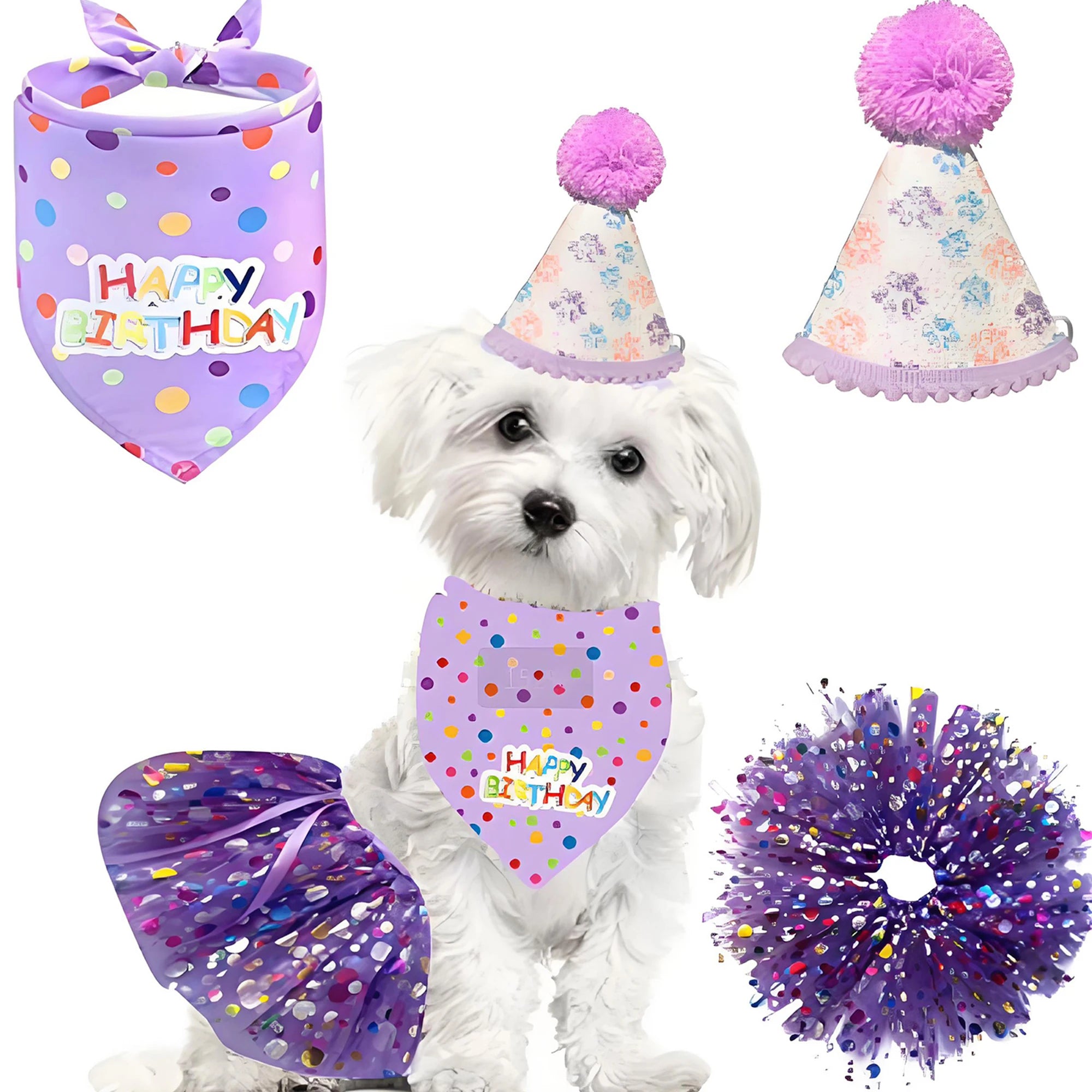 Birthday Costume Set Adorable Party Hat with Matching Skirt and Scarf