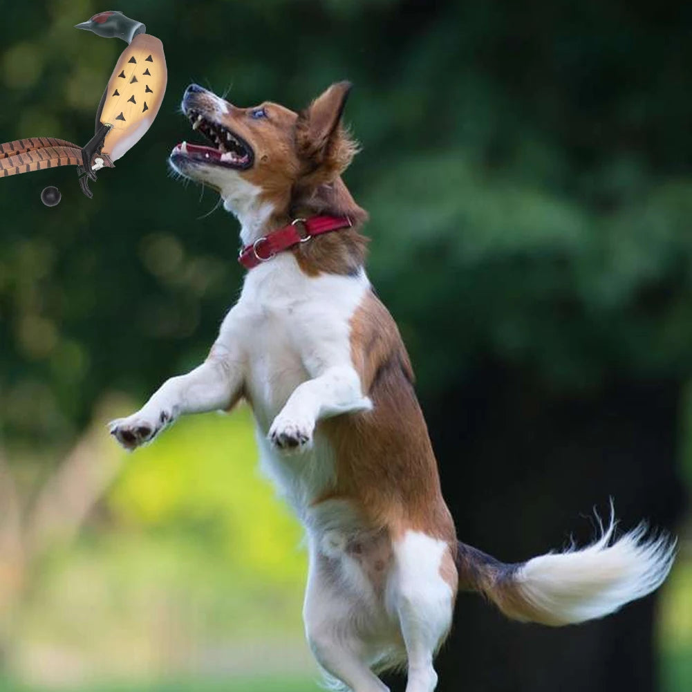 Pheasant Dummy Bumper Toy for Hunting Retriever Dog Training,H