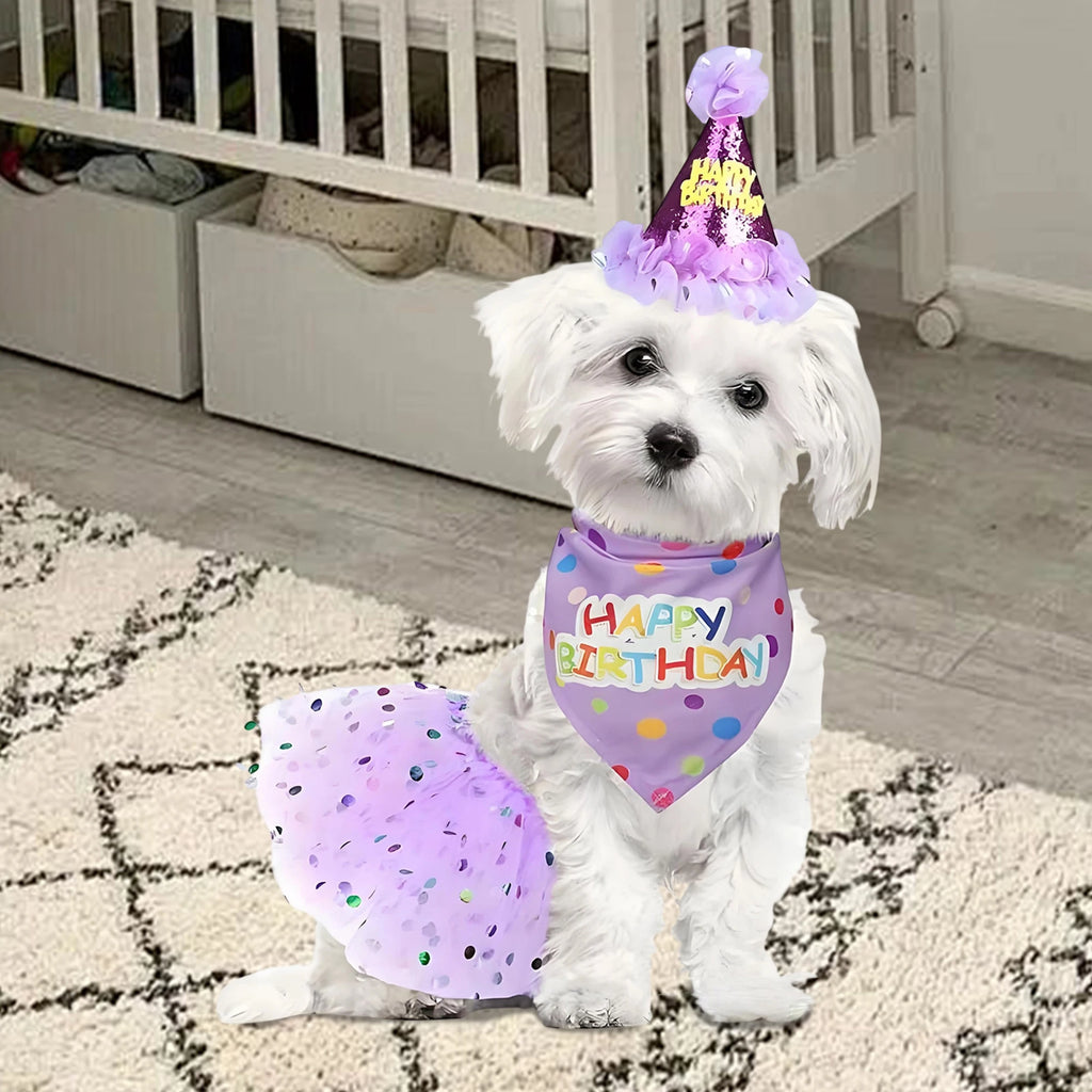 Birthday Costume Set Adorable Party Hat with Matching Skirt and Scarf