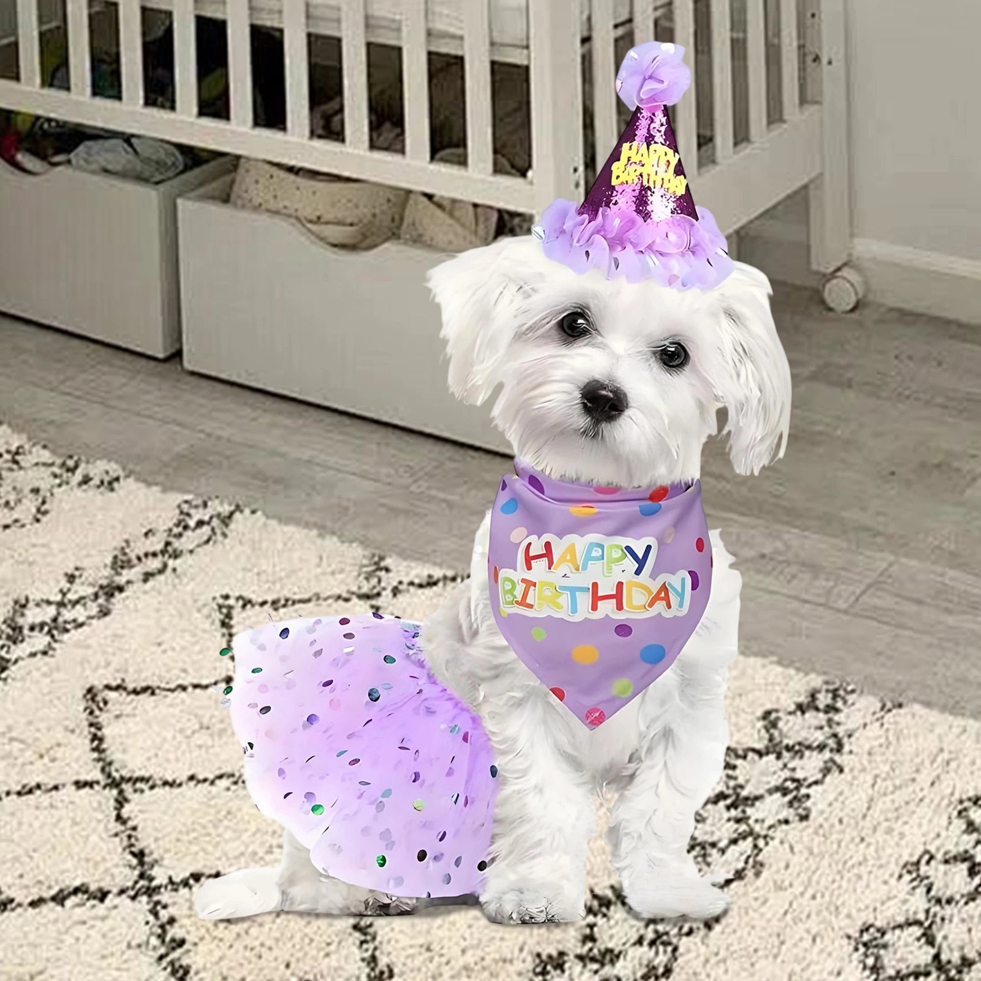 Birthday Costume Set Adorable Party Hat with Matching Skirt and Scarf