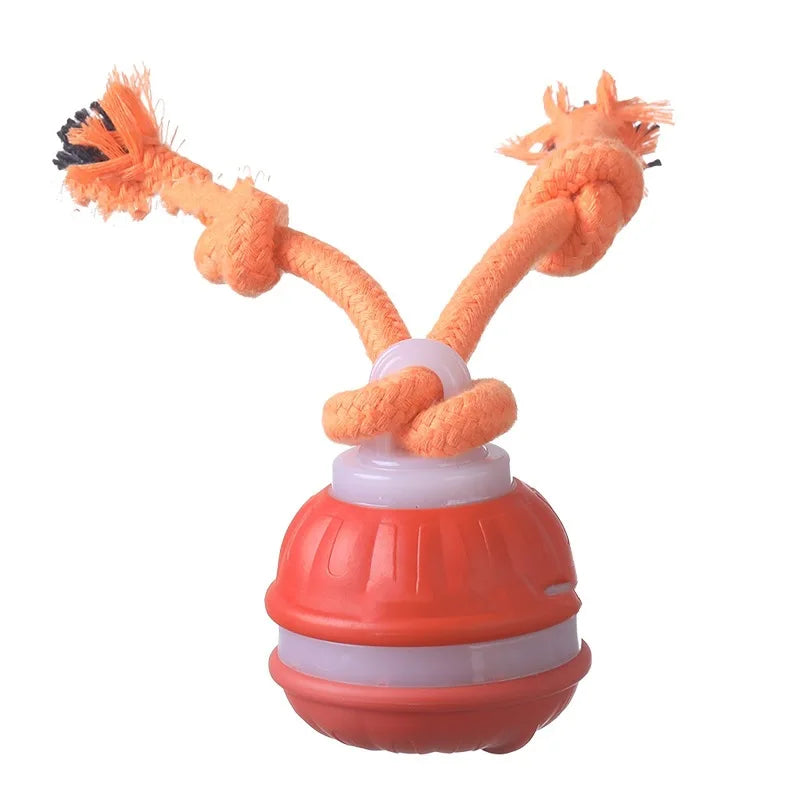 Pet Ball for Dogs Interactive Motion Activate Rolling Ball.