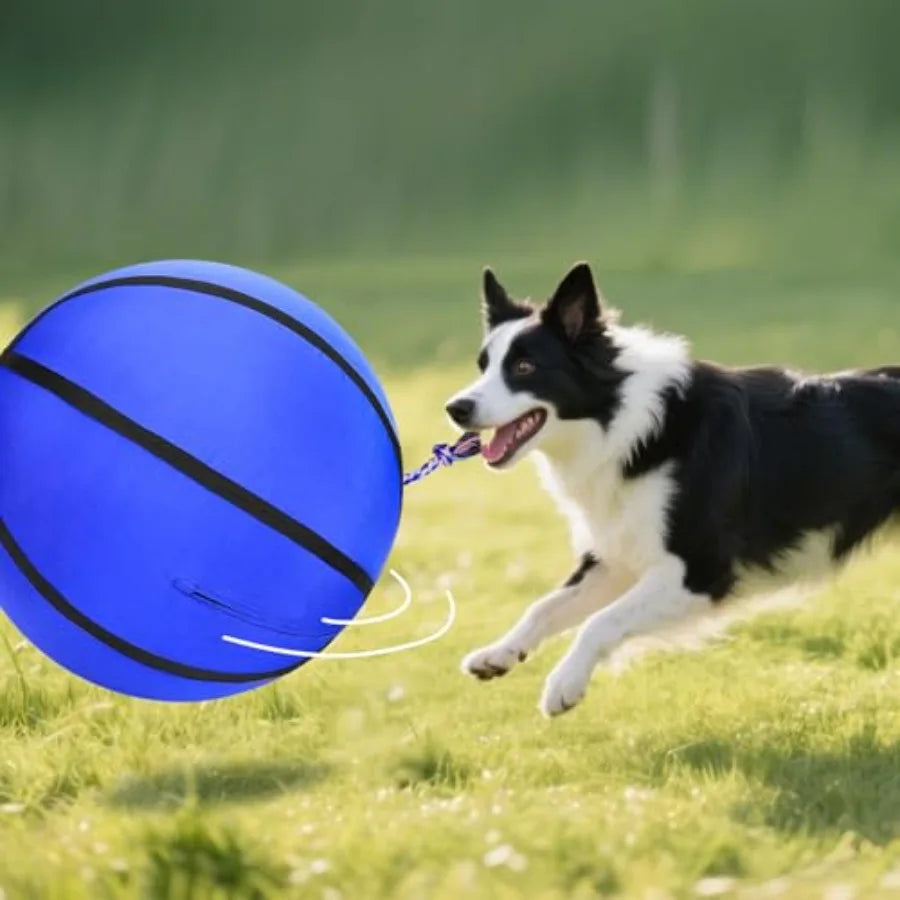 25" Herding Ball for Dogs  Dog Training Toy.