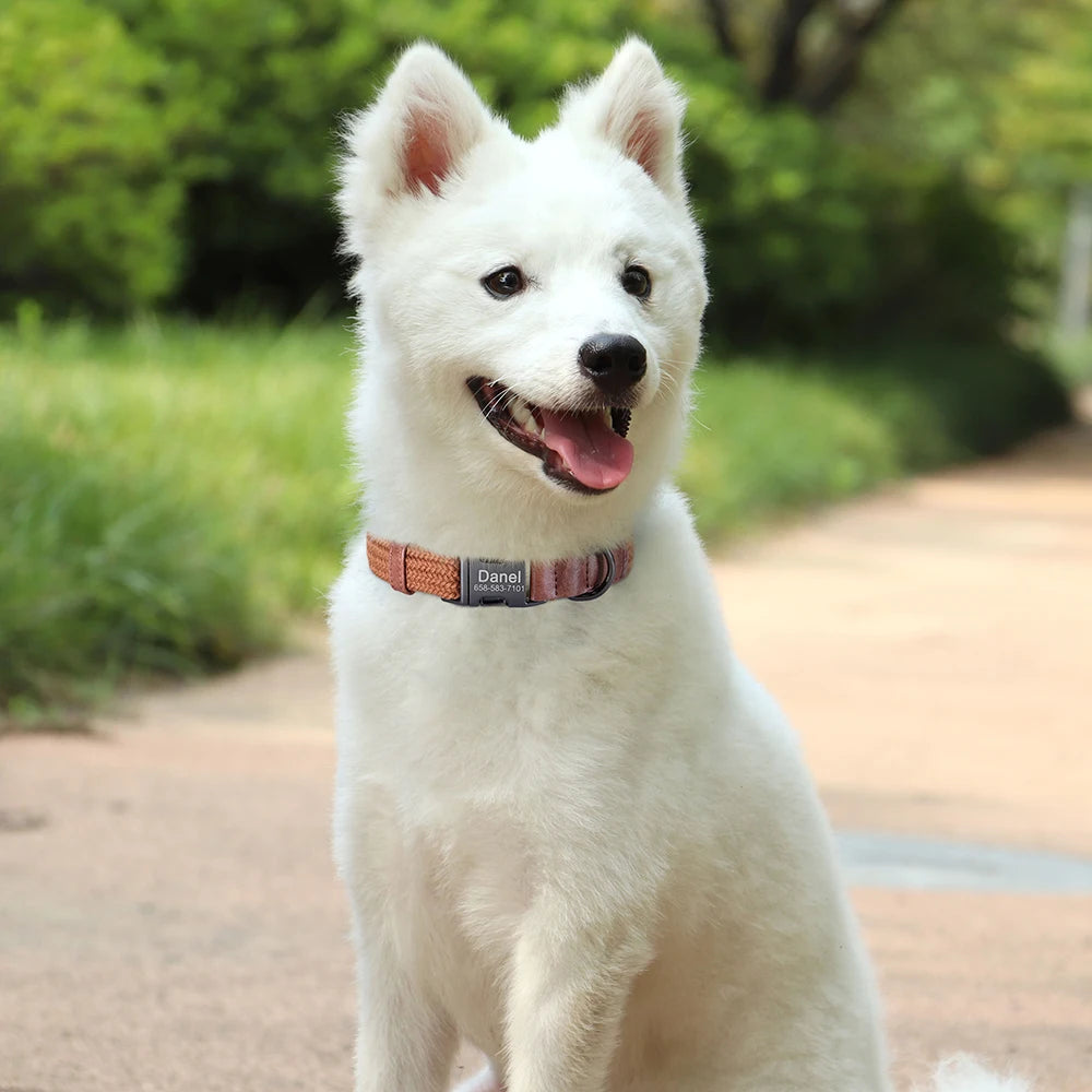 Personalized Nylon Dog Collar Adjustable Dog Collars Custom Pet Name