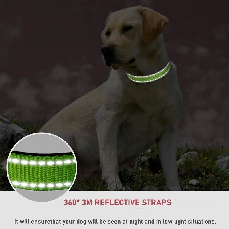 Choker Neck Collars for Dogs