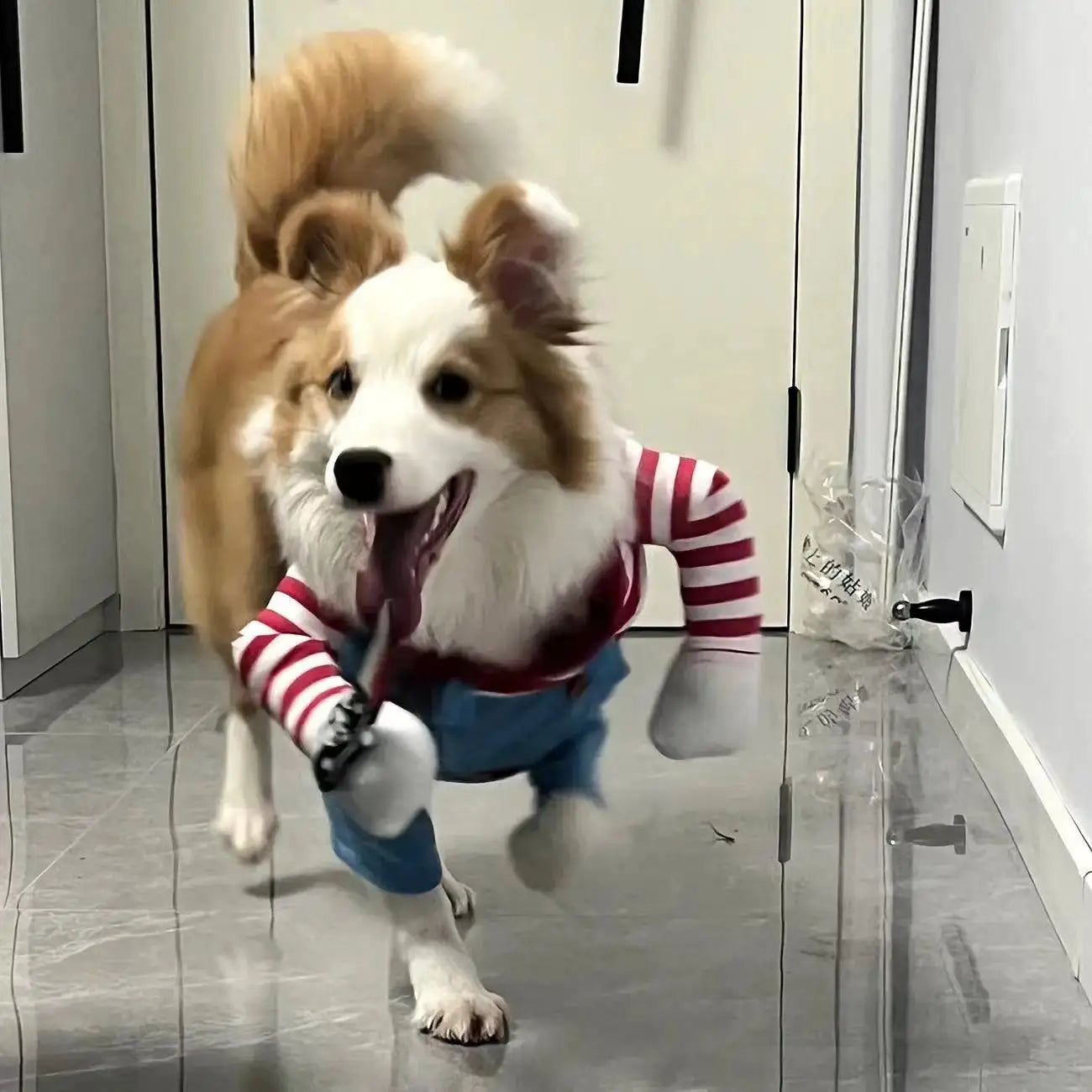 Halloween Funny Dog Clothes for Small Medium Dogs