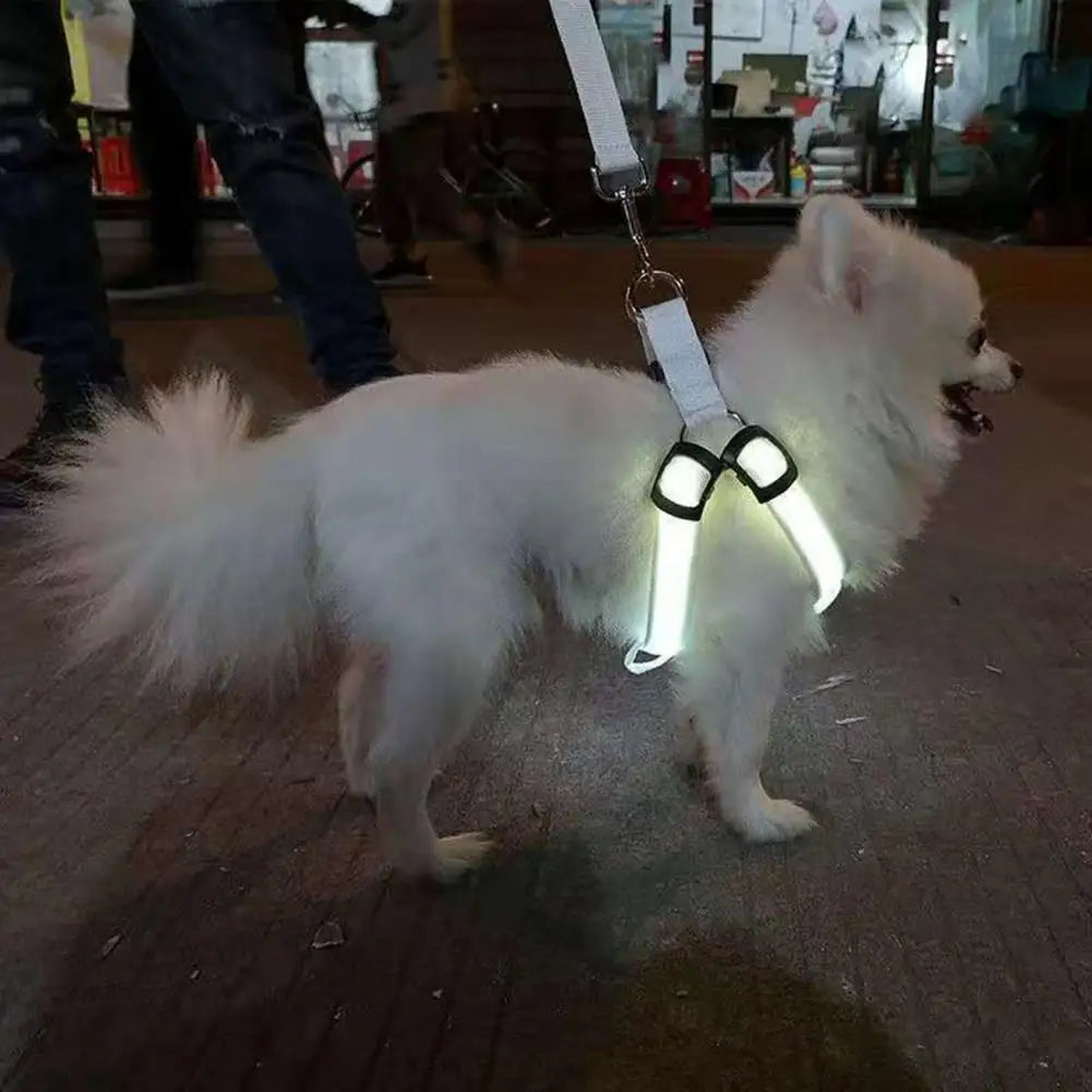 Adjustable LED Pet Harness USB Rechargeable Light Up Dog Harness