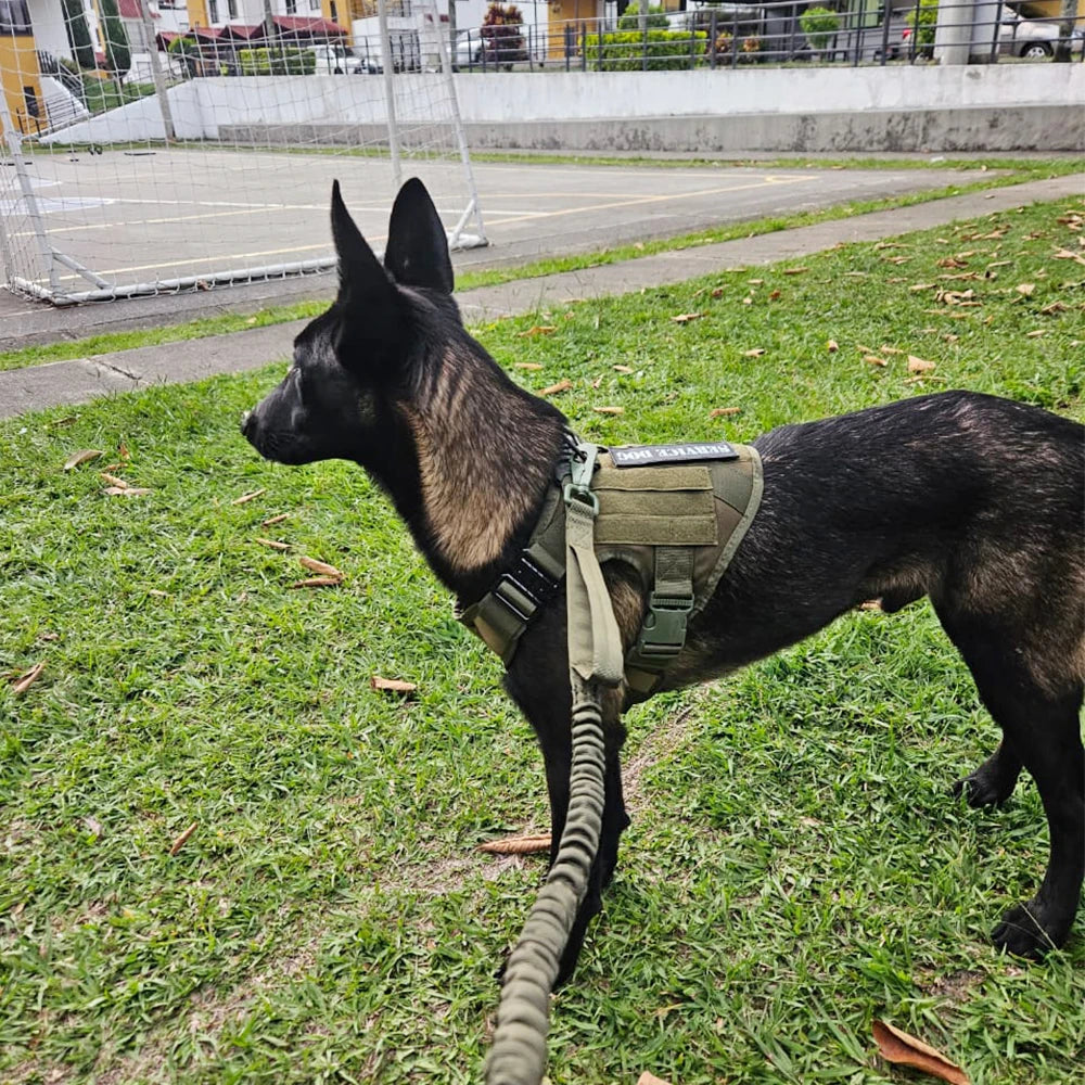 Tactical Dog Harness Leash Set for Large Dogs Military Harnesses