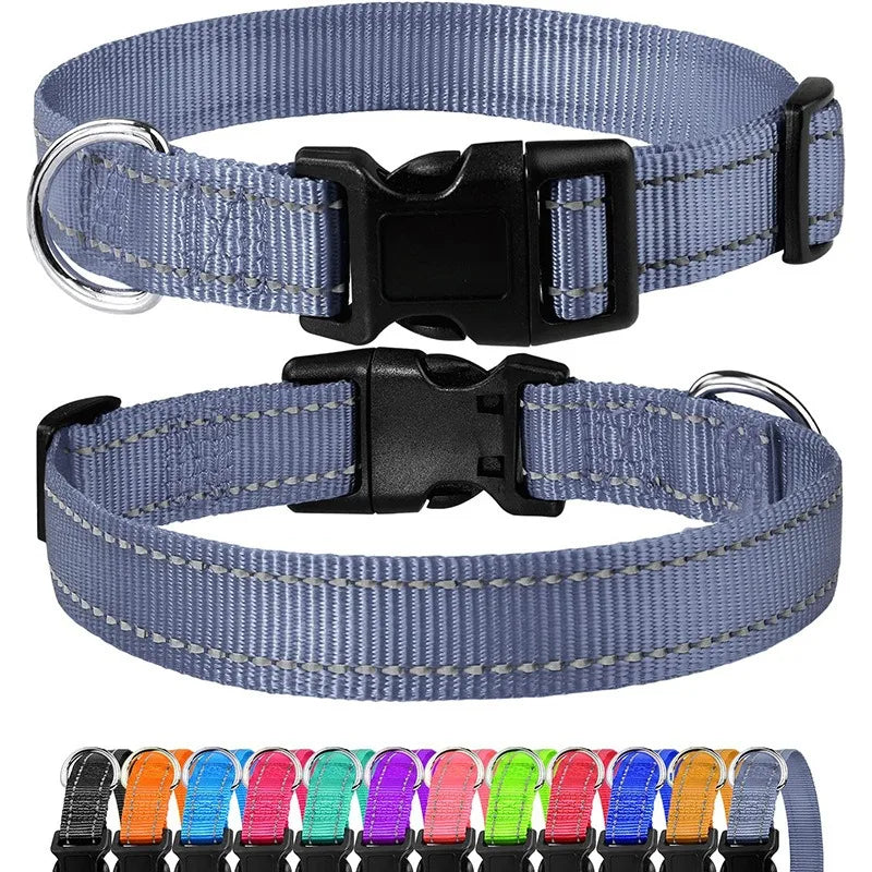 Choker Neck Collars for Dogs