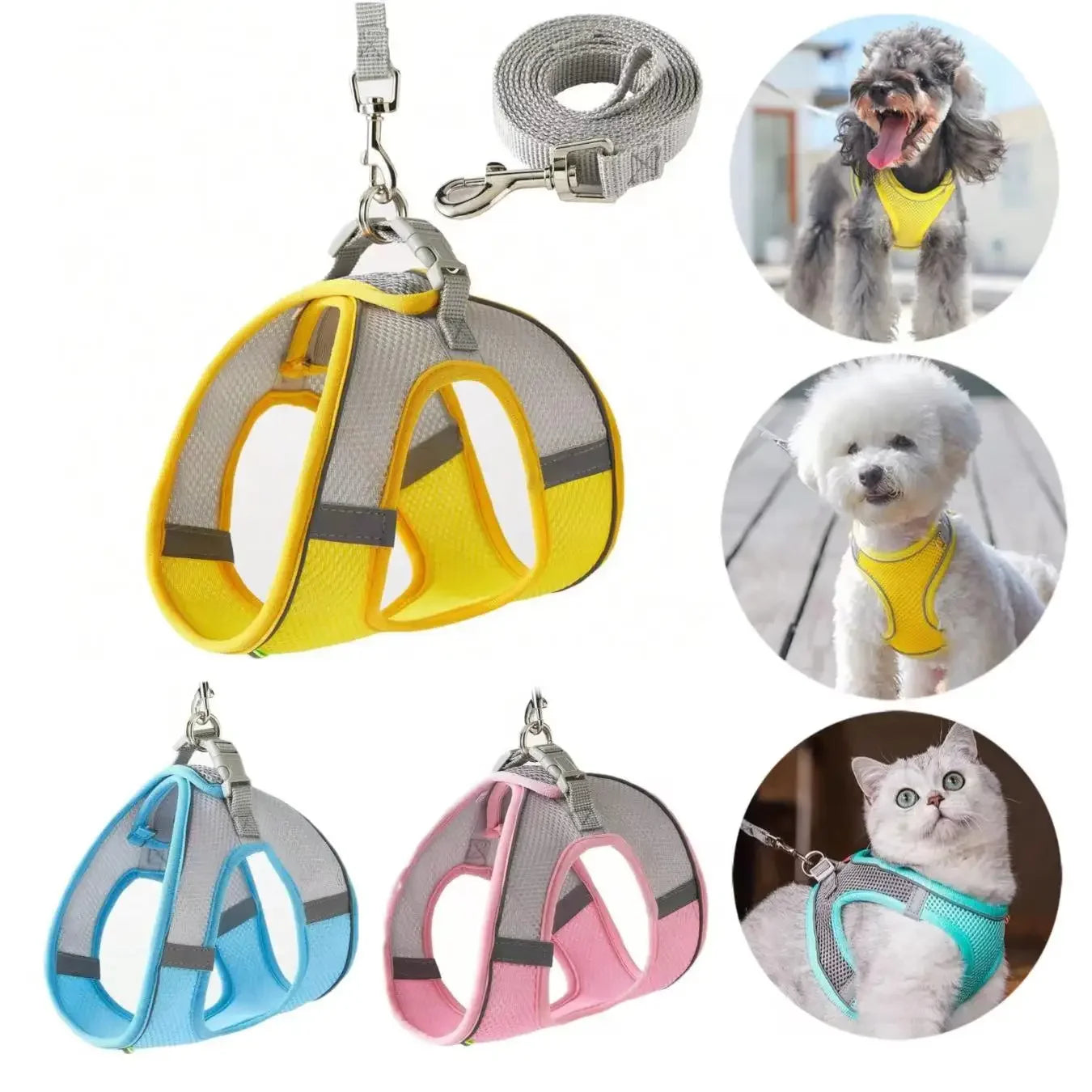 Escape-Proof Dog Harness and Leash Set for Small Dogs