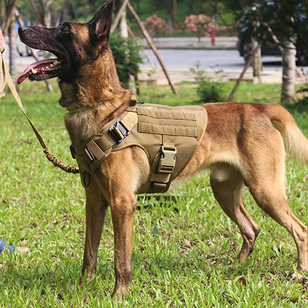 Large Dog Harness And Leash Set  German Shepherd Malinois