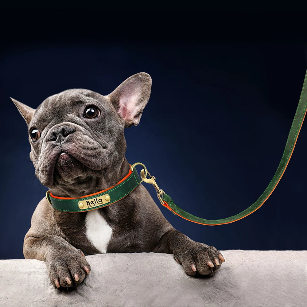 Leather Dog Collar Leash And Collar With Free Engraved Nameplate