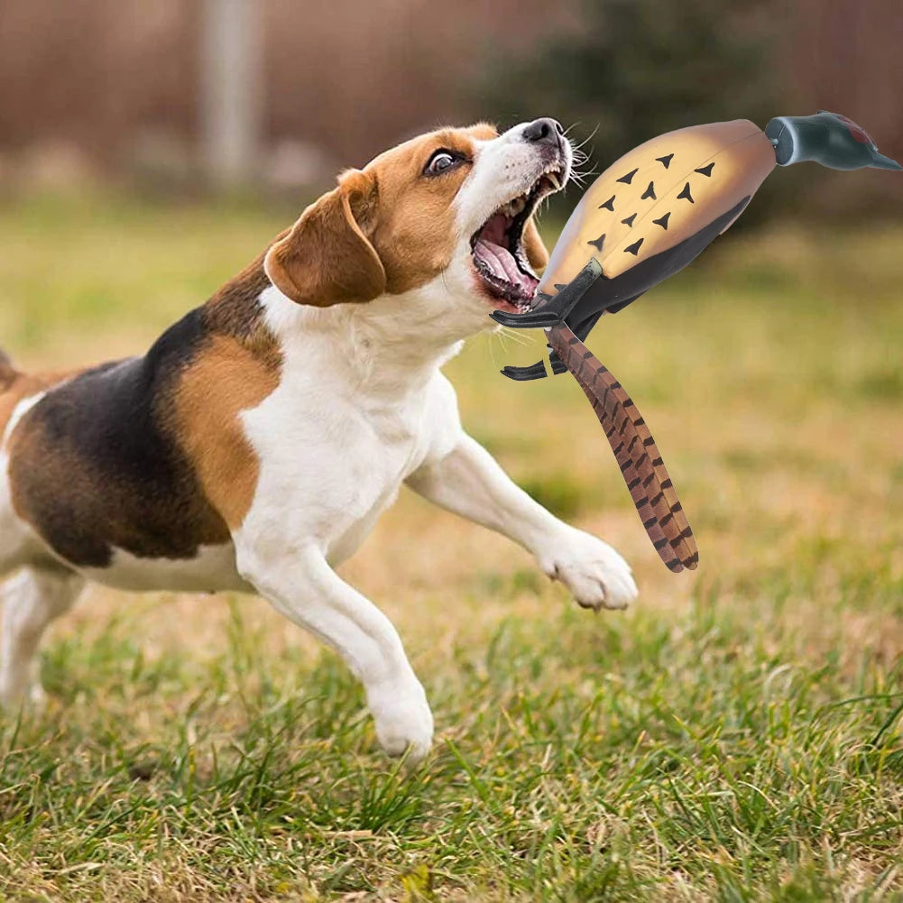 Pheasant Dummy Bumper Toy for Hunting Retriever Dog Training,H
