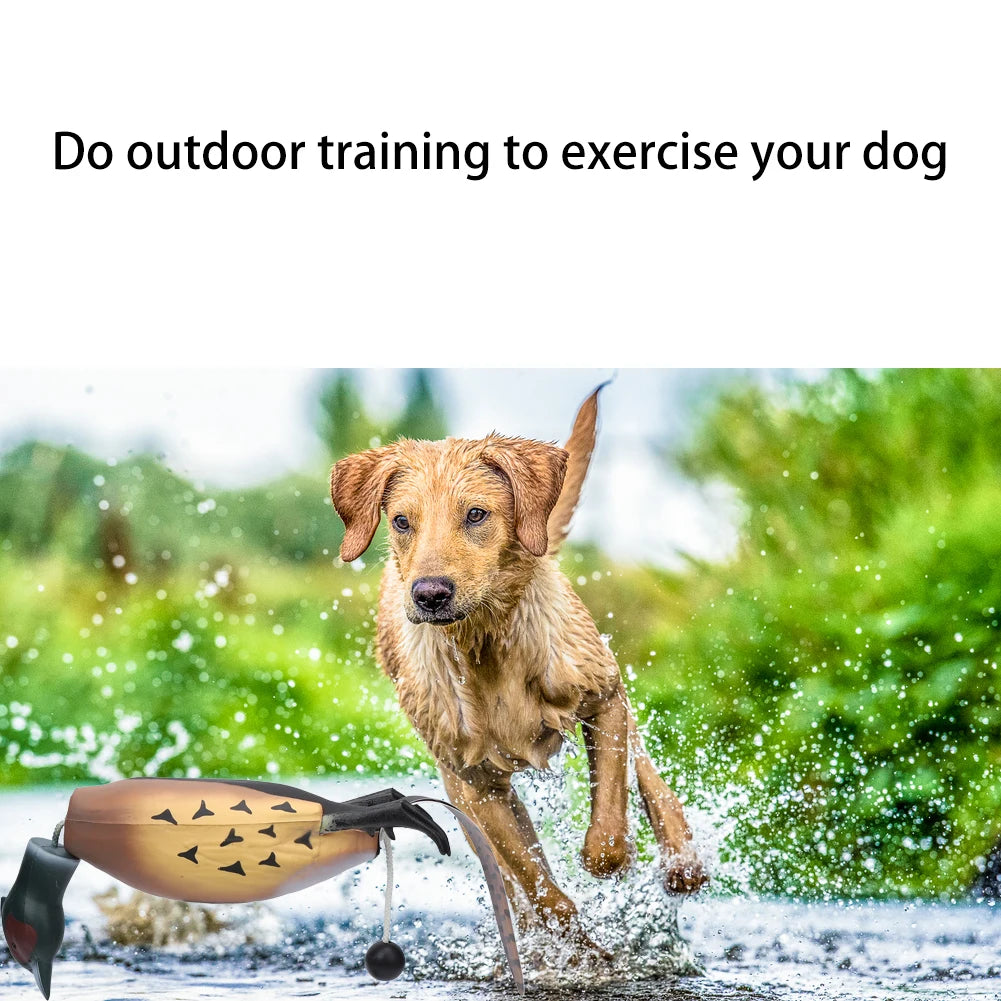 Pheasant Dummy Bumper Toy for Hunting Retriever Dog Training,H