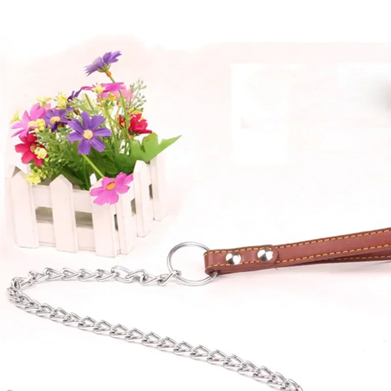 Durable Anti-Bite Metal Dog Chain Lead For Small Medium Large Dog