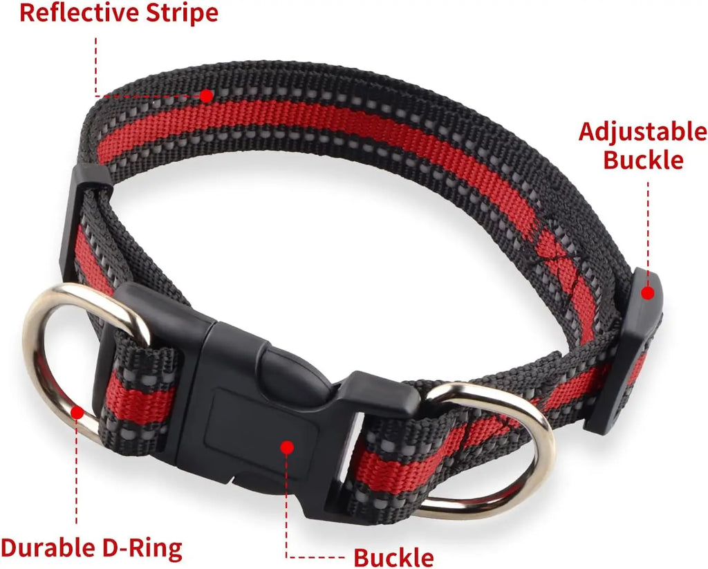 Highly Reflective Adjustable Dog Collar with Dual Metal D-Rings
