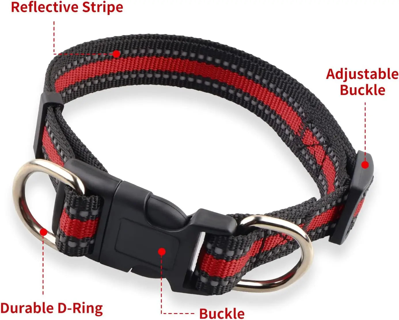 Highly Reflective Adjustable Dog Collar with Dual Metal D-Rings