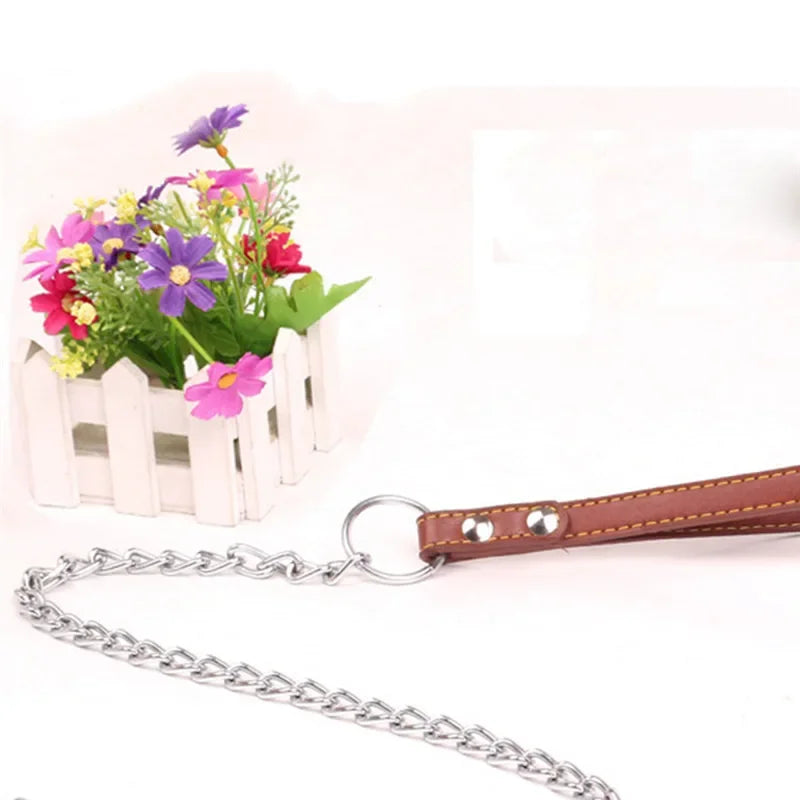 Durable Anti-Bite Metal Dog Chain Lead For Small Medium Large Dog