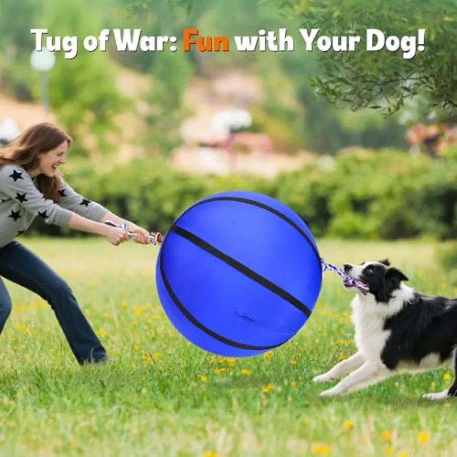 25" Herding Ball for Dogs  Dog Training Toy.