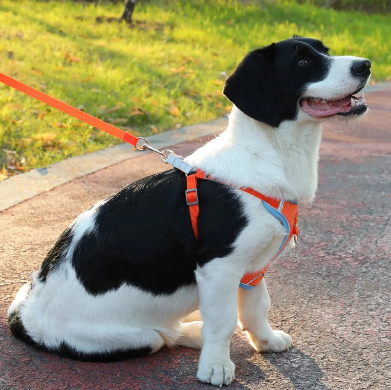 Small Medium Dogs Harness Vest Walking Traction Rope Reflective Straps.