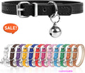 Adjustable Teacup Dog Collar for Small, Medium, and Large Dogs
