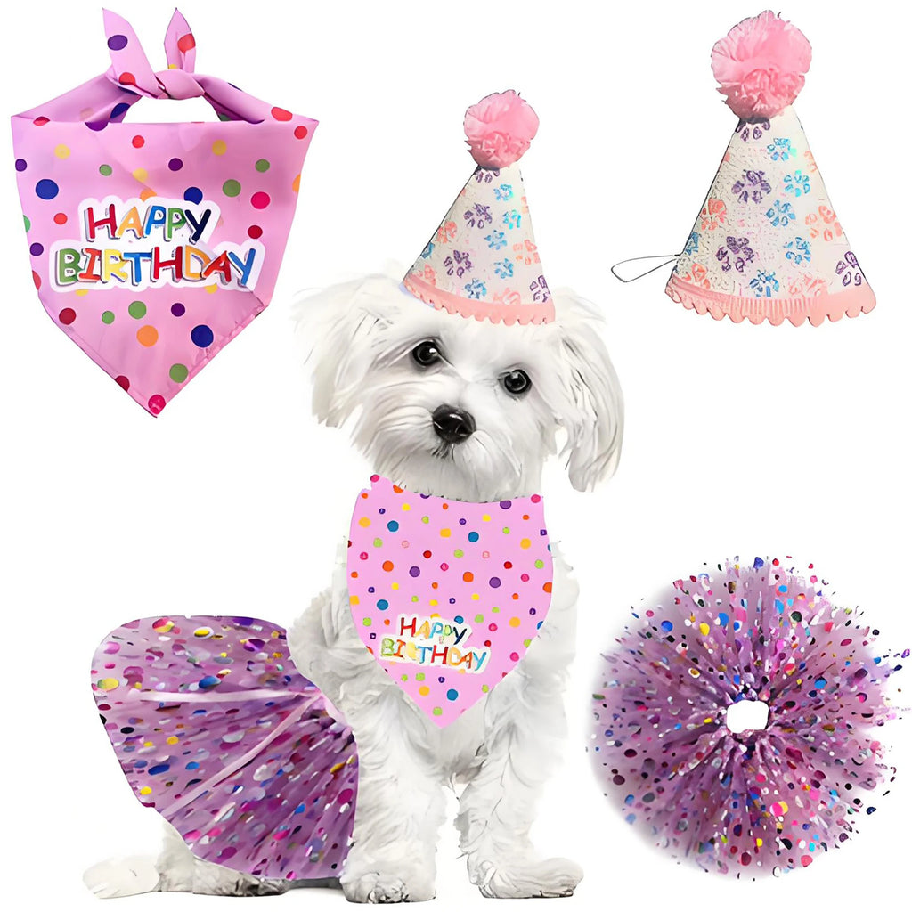 Birthday Costume Set Adorable Party Hat with Matching Skirt and Scarf