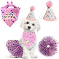 Birthday Costume Set Adorable Party Hat with Matching Skirt and Scarf