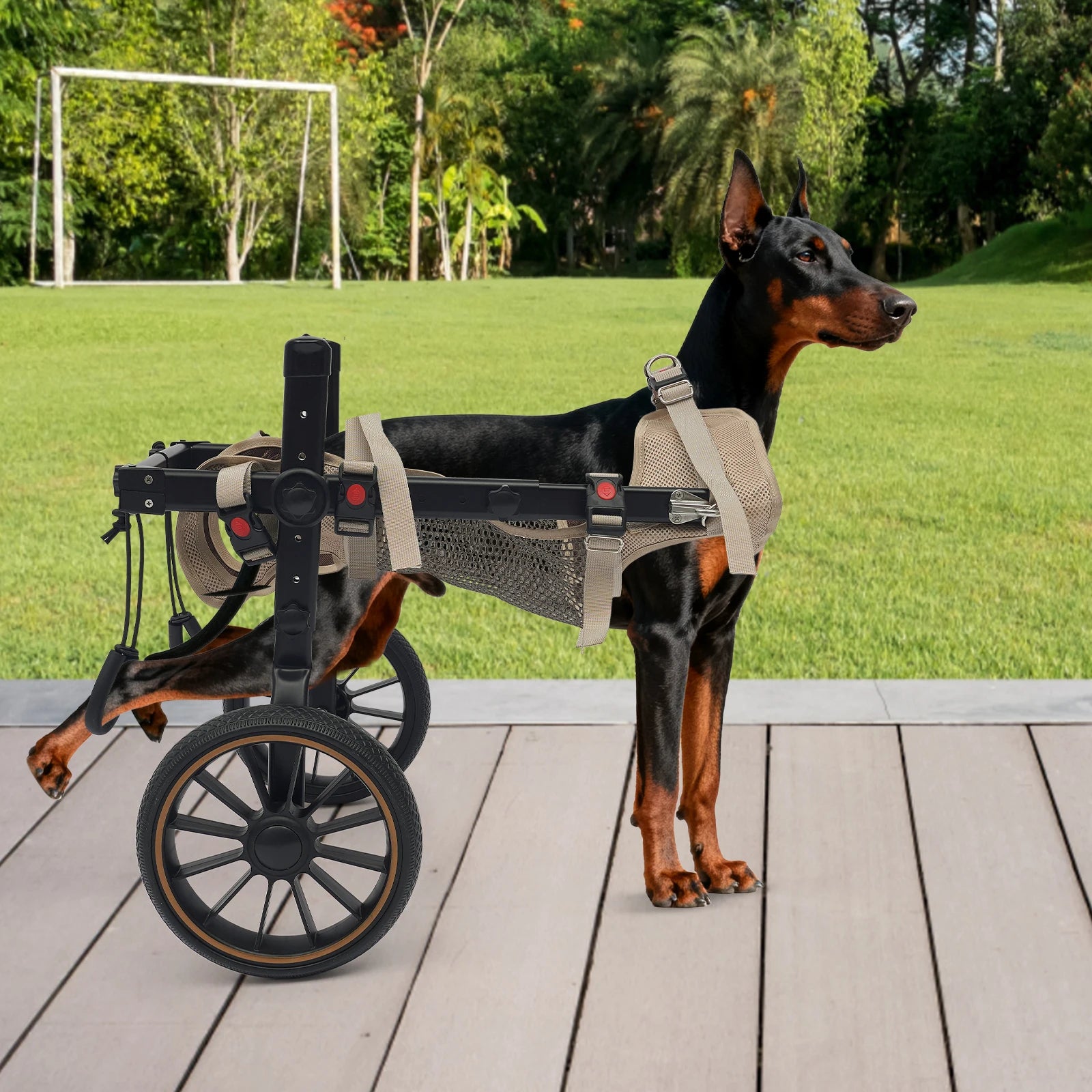 XL Pet Rehabilitation Walking Aid Stable and Reliable 2-wheel Dog Wheelchair