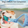 Dog Treat Ball Chew Resistant Rope Toy
