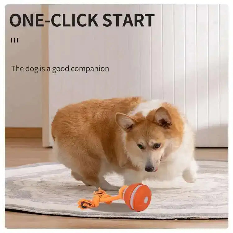 Interactive Teasing Ball With Motion Activated Automatic Moving Squeaky Dog Toy