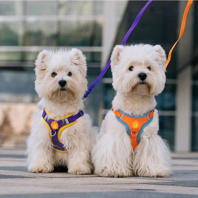 Small Medium Dogs Harness Vest Walking Traction Rope Reflective Straps.