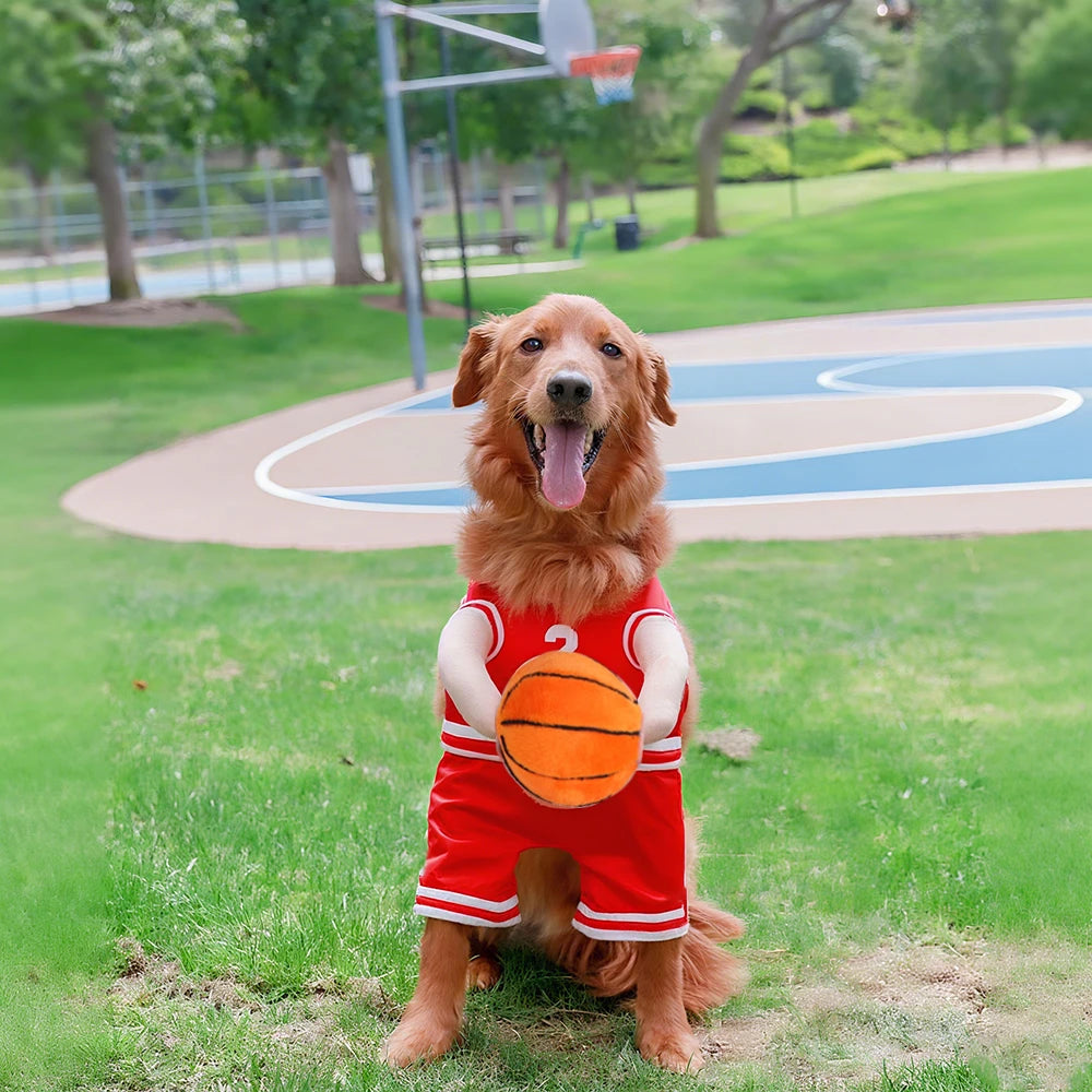 Funny Basketball Cosplay Pet Costume