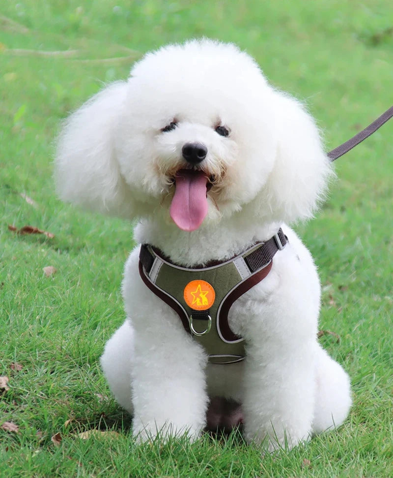 Small Medium Dogs Harness Vest Walking Traction Rope Reflective Straps.