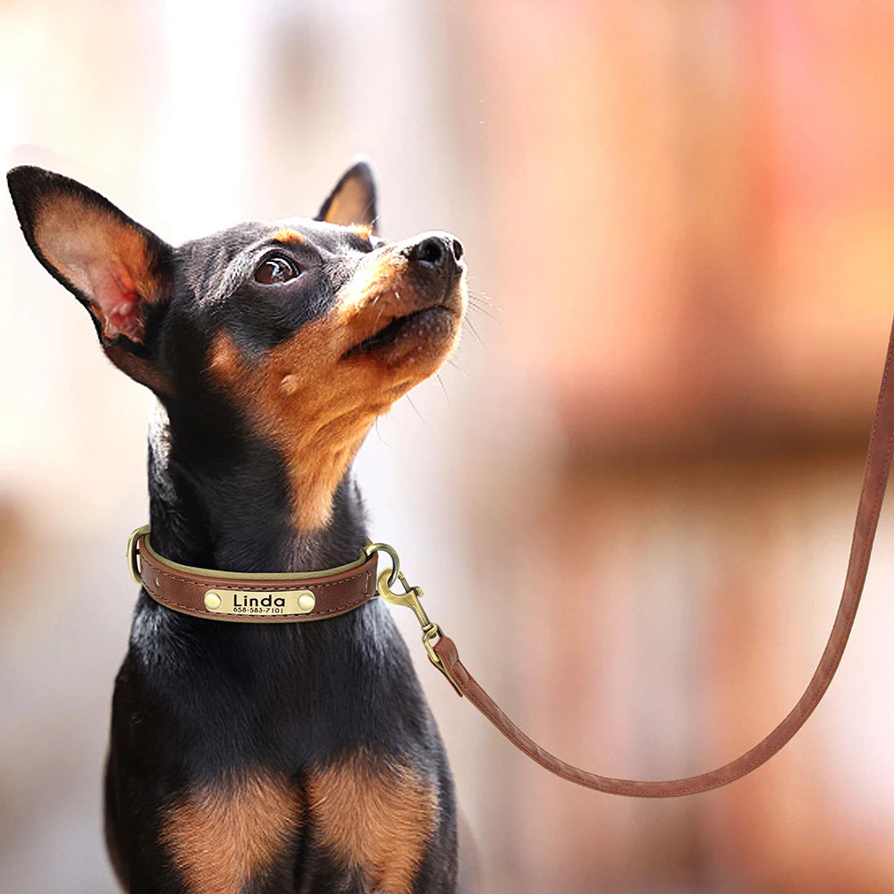 Leather Dog Collar Leash And Collar With Free Engraved Nameplate