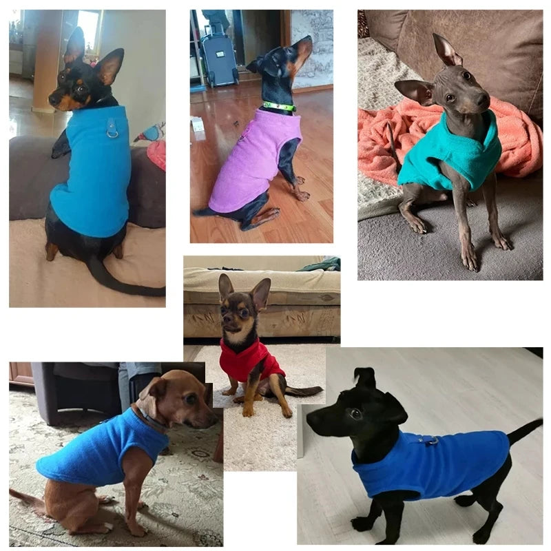 Warm Fleece Dogs Clothes Pet Dog Jacket Vest With D-Ring For Small Dog